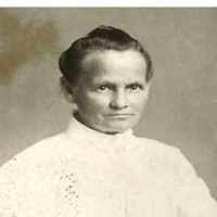 Sarah Ann Jenkins (1860 - 1933) Profile
